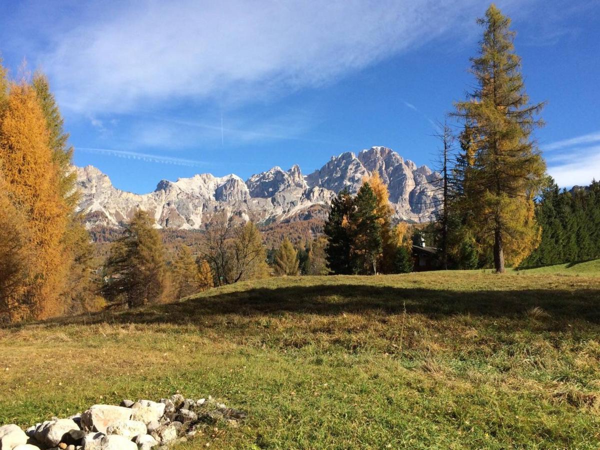 Luxury Panoramic 3Br Apt 2Min To Centre 5Min To Lifts Cortina dʼAmpezzo Zewnętrze zdjęcie