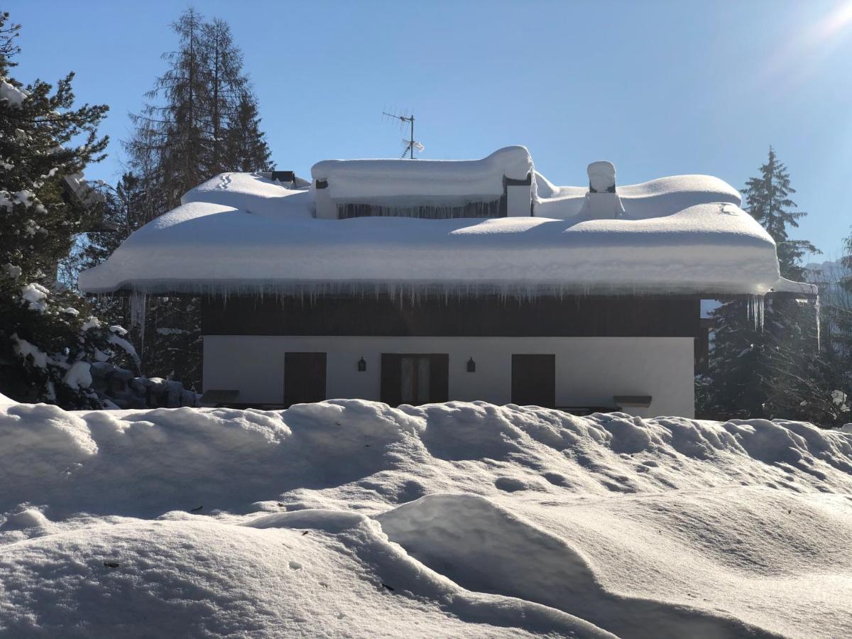 Luxury Panoramic 3Br Apt 2Min To Centre 5Min To Lifts Cortina dʼAmpezzo Zewnętrze zdjęcie