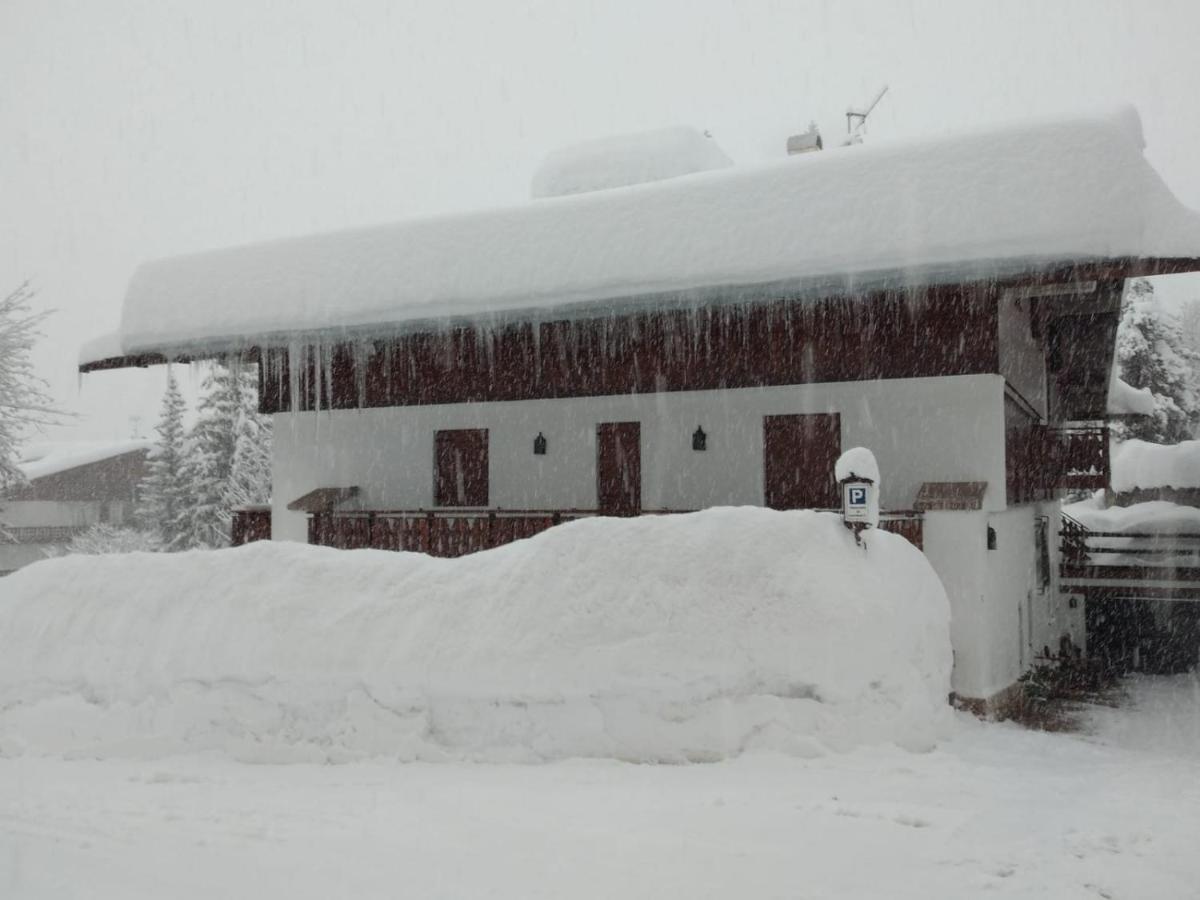 Luxury Panoramic 3Br Apt 2Min To Centre 5Min To Lifts Cortina dʼAmpezzo Zewnętrze zdjęcie