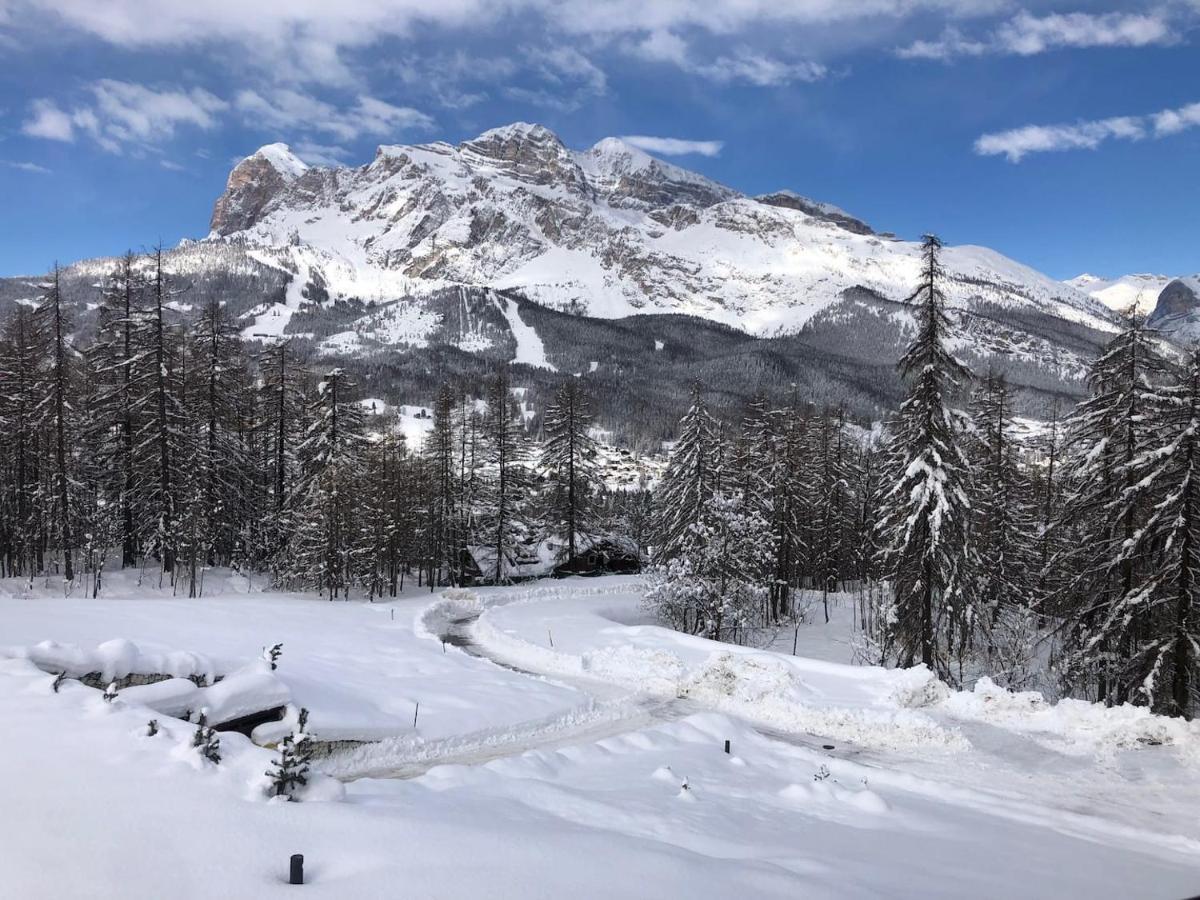 Luxury Panoramic 3Br Apt 2Min To Centre 5Min To Lifts Cortina dʼAmpezzo Zewnętrze zdjęcie